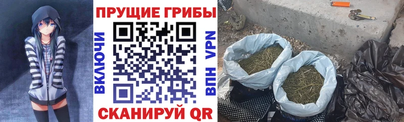 Псилоцибиновые грибы Magic Shrooms  Купить где  Хабаровск 